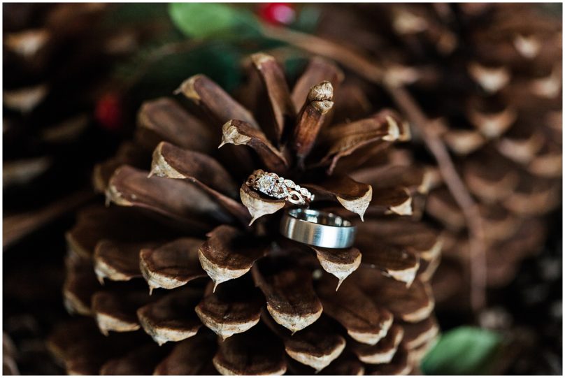 Wedding Rings Detail Shot with Pine Cones | Kaitlin Scott Photography