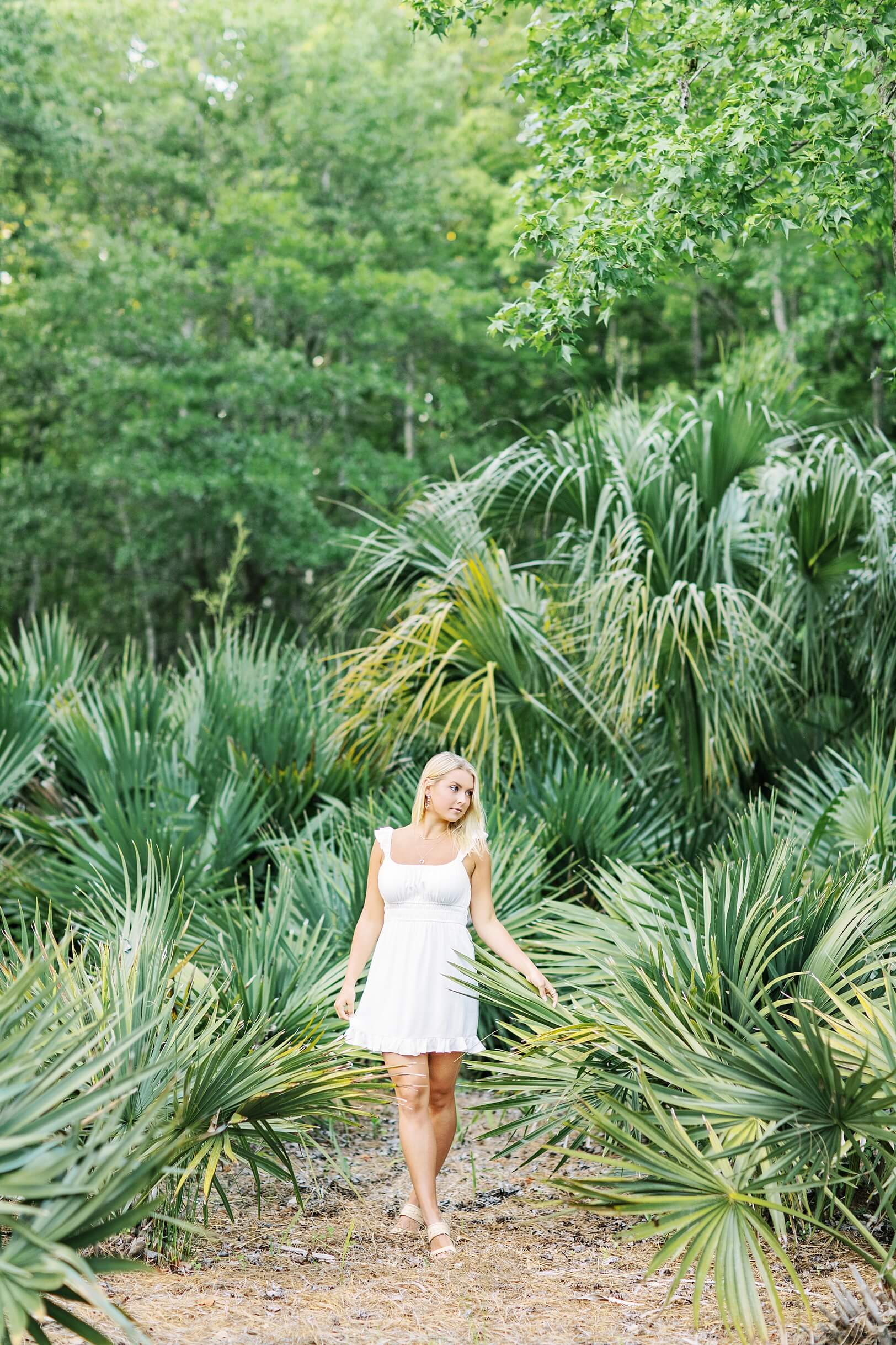 Palmettos in the lowcountry during shoot | Kaitlin Scott Photography
