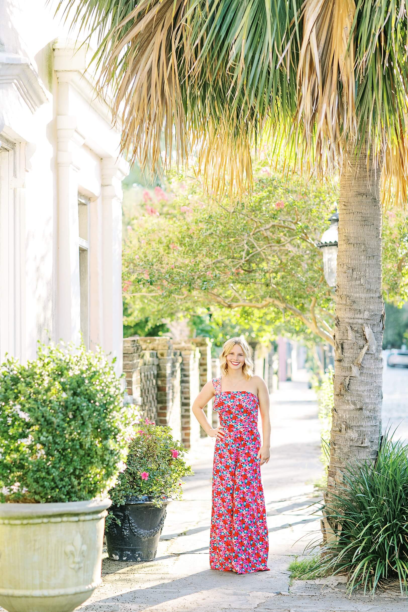 Colorful Charleston Pictures with Palmettos