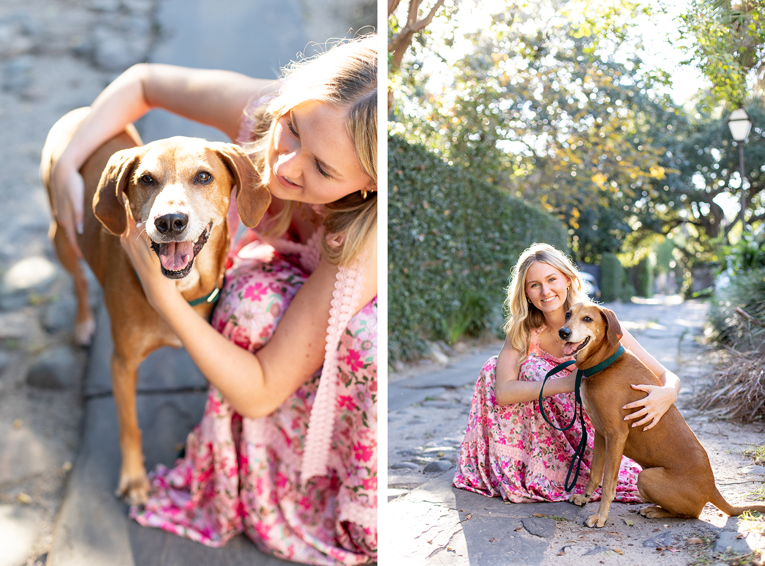 Bring Your Dog to Senior Shoot Day Charleston SC